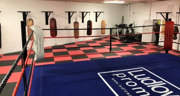 wood green boxing club